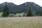 Nížinné a podhorské kosné lúky (14.6.2014)
